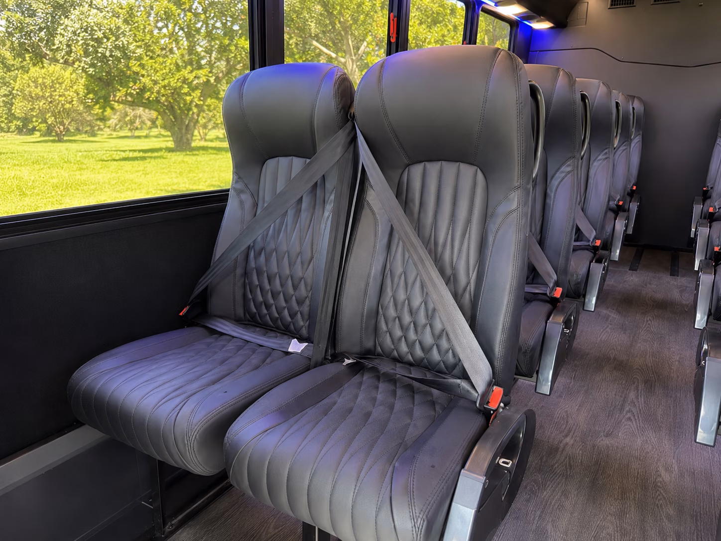 corpus christi 18 passenger minibus inside