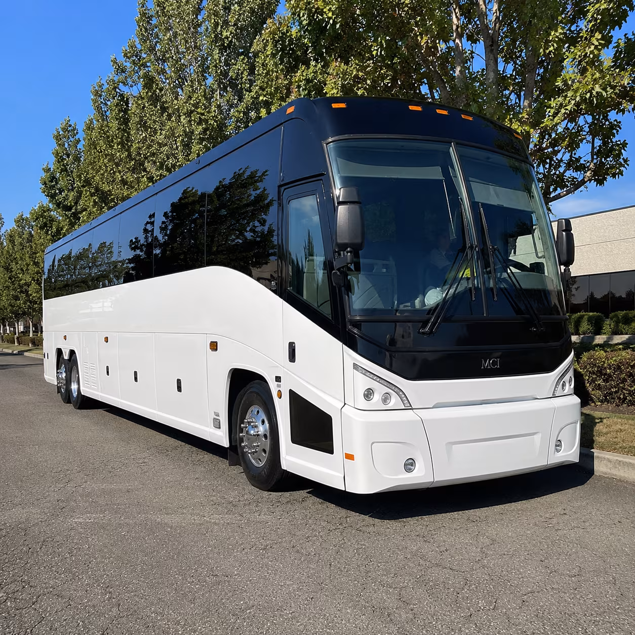 corpus christi 50 passenger charter bus