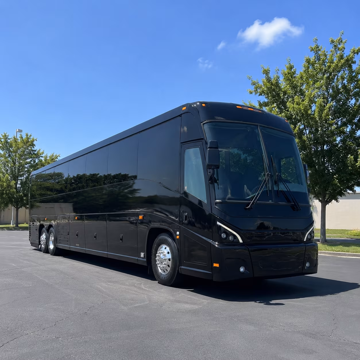 corpus christi 56 passenger charter bus