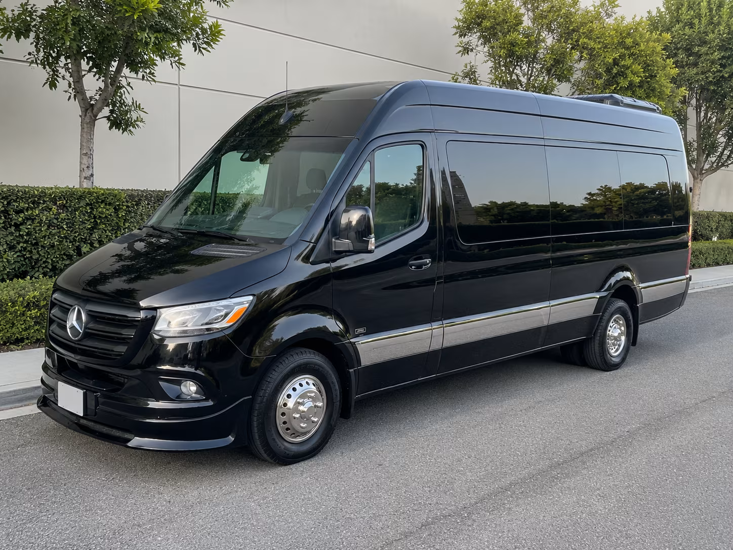 corpus christi birthday party transportation