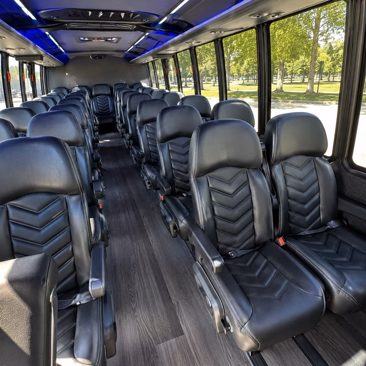 corpus christi prom transportation